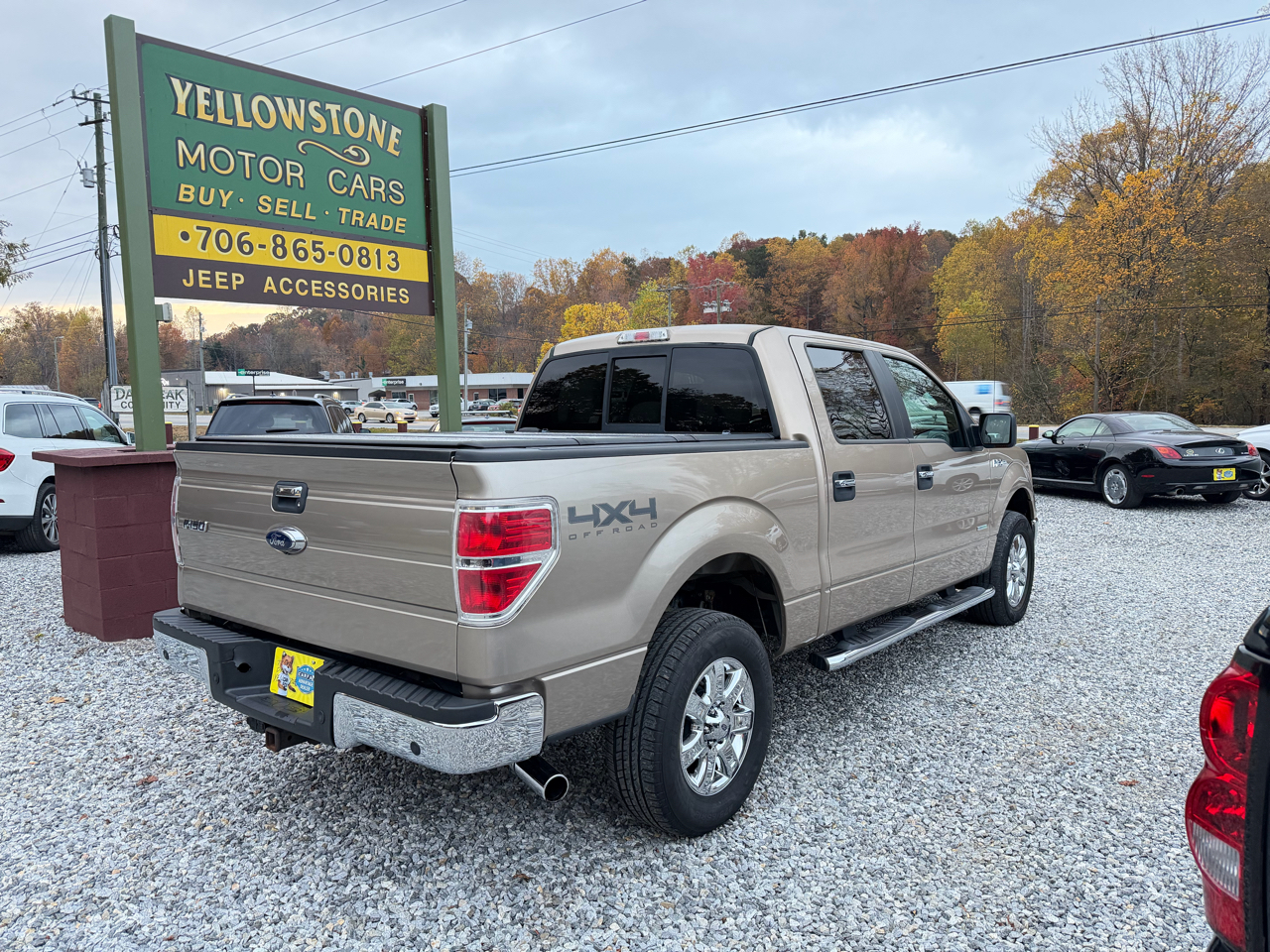 Ford F-150 XLT SuperCrew 6.5-ft. Bed 4WD 2013