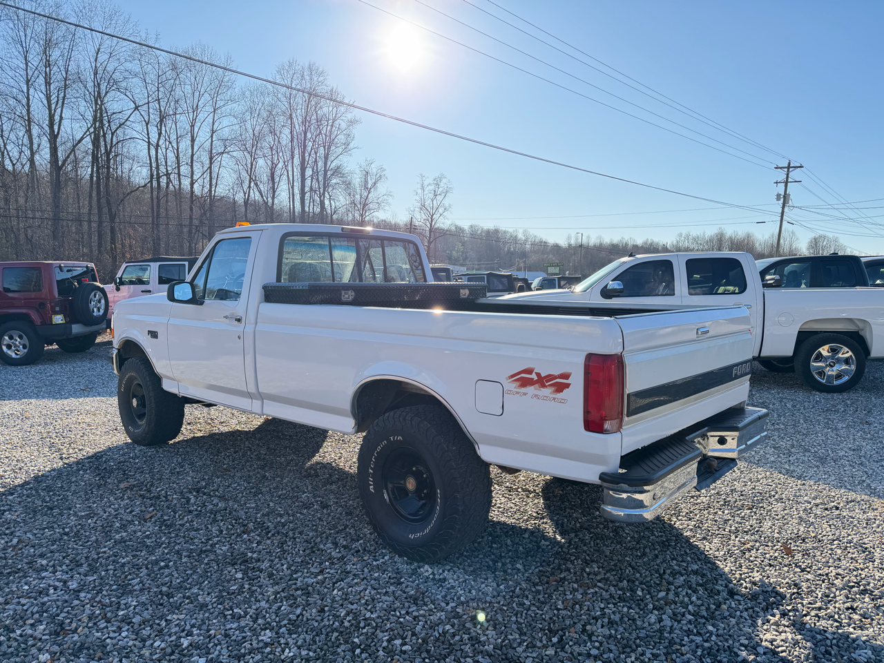 Ford F-150 XL Reg. Cab Long Bed 4WD 1994