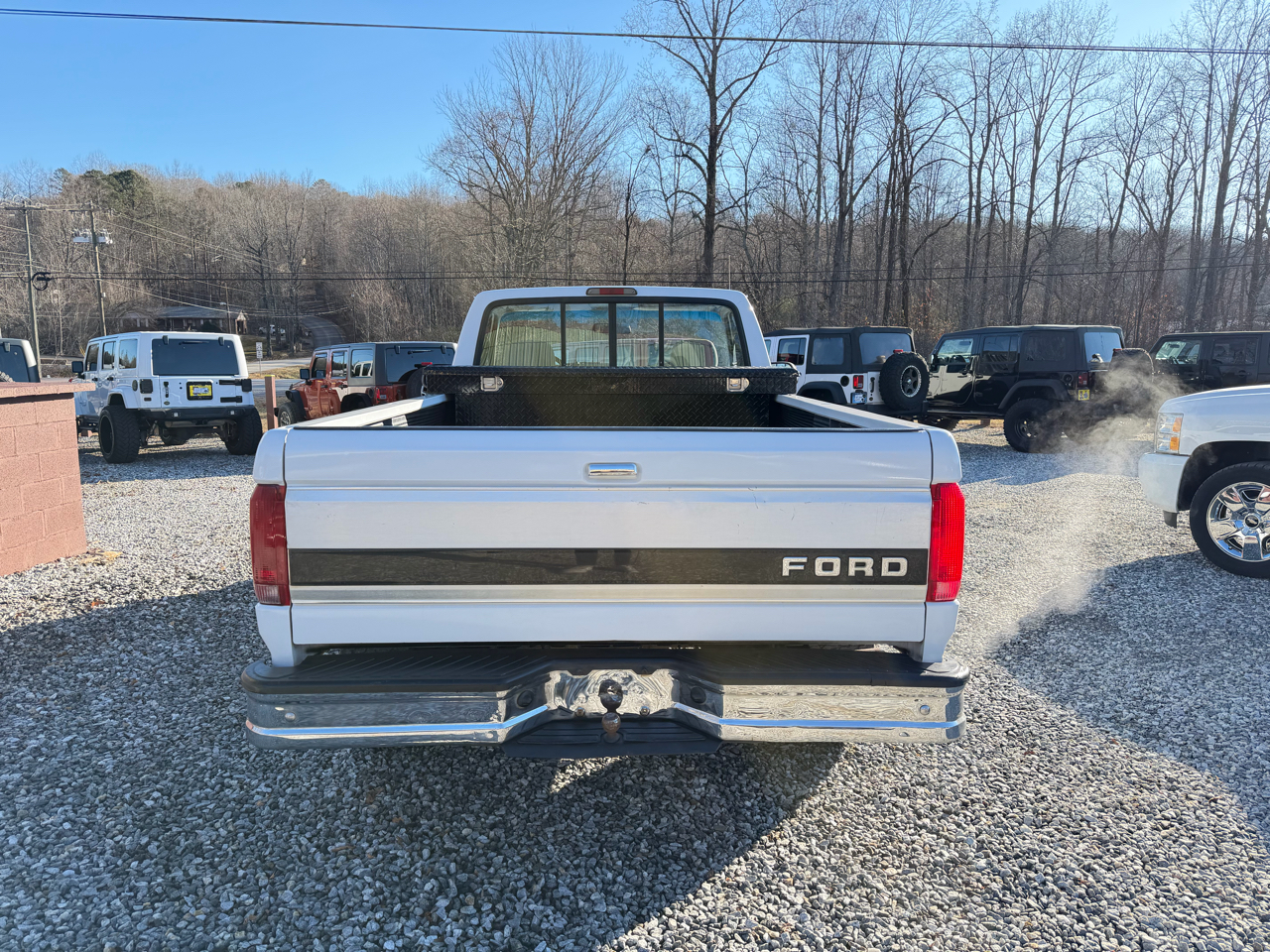 Ford F-150 XL Reg. Cab Long Bed 4WD 1994