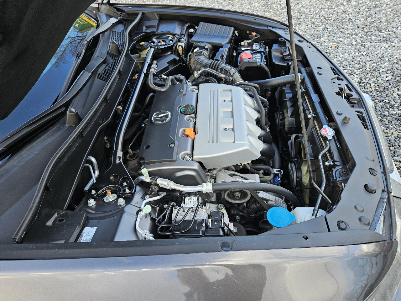 Acura TSX 5-speed AT 2010