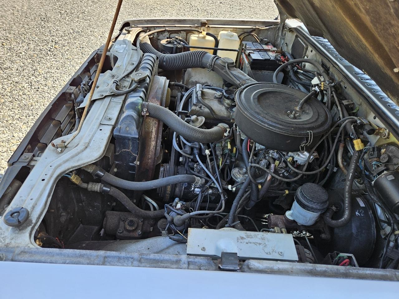 Dodge Raider Base 1987