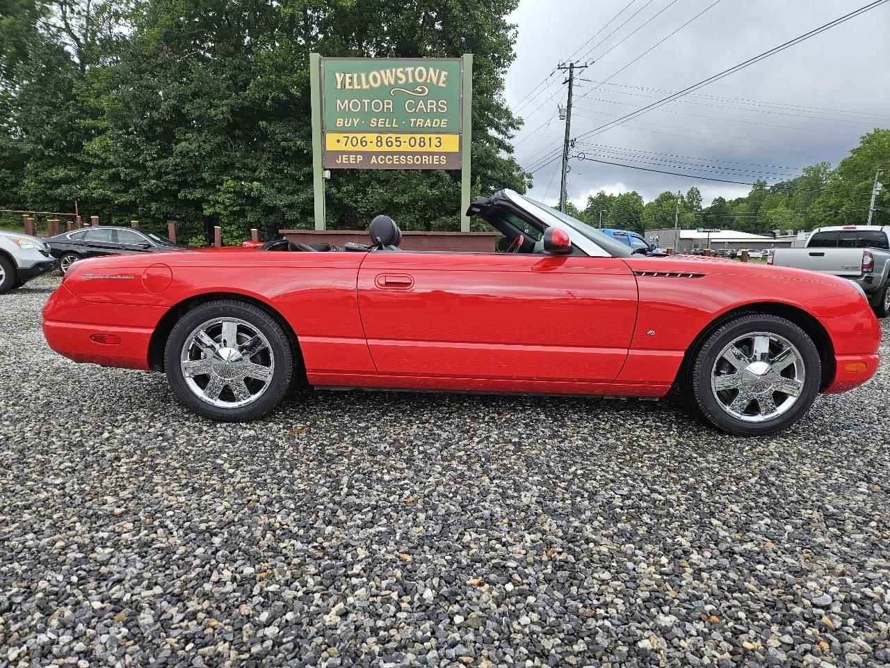 Ford Thunderbird Deluxe 2004