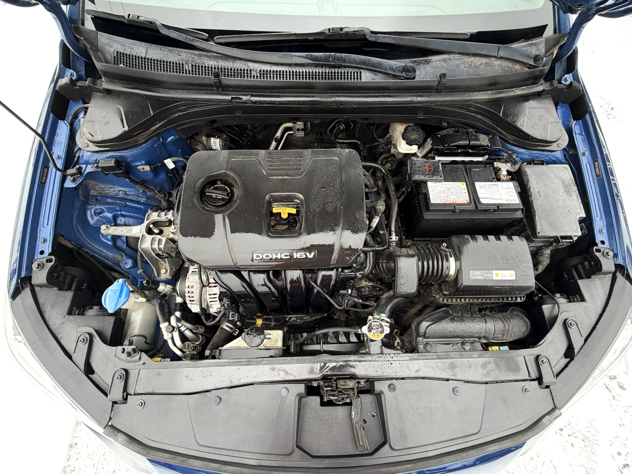 Hyundai Elantra SE Auto 2017