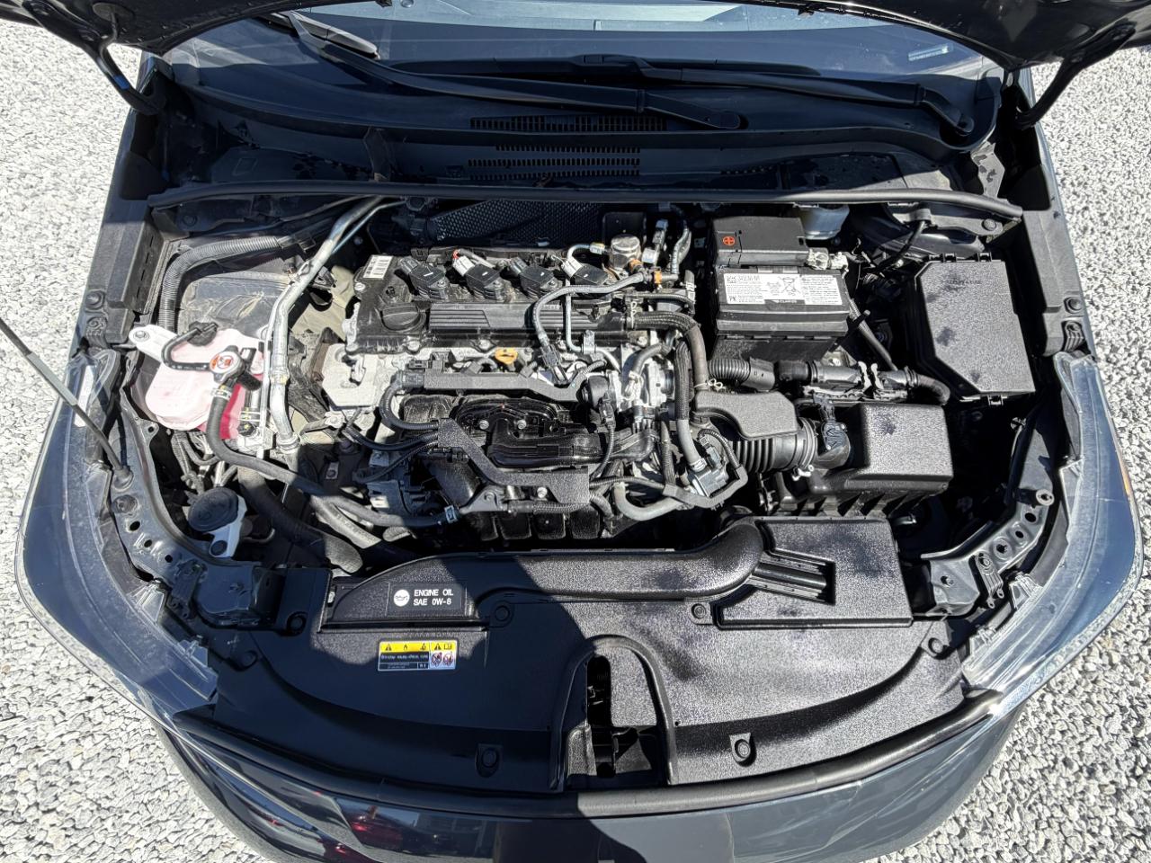 Toyota Corolla LE 2025