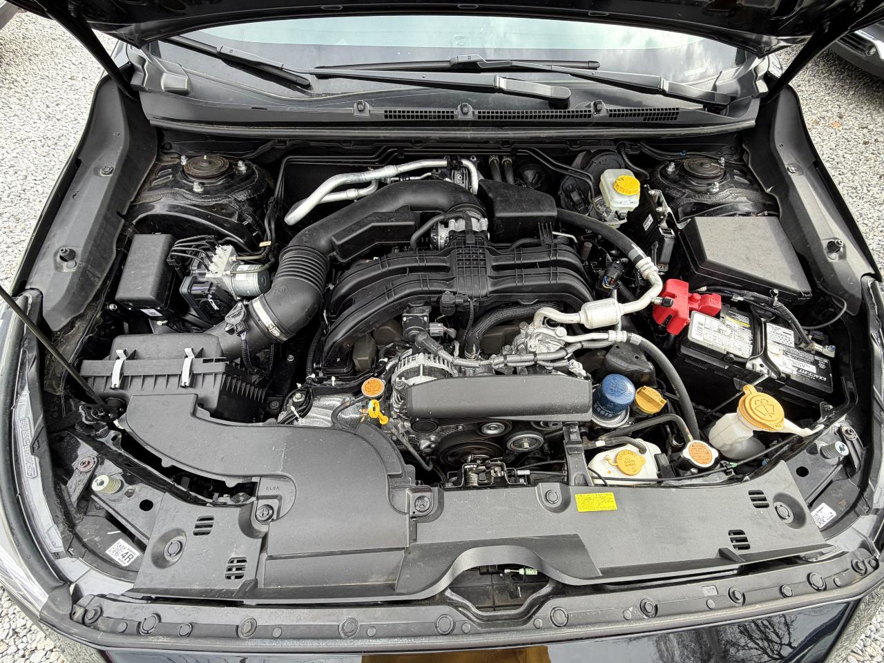 Subaru Crosstrek Wilderness 2024