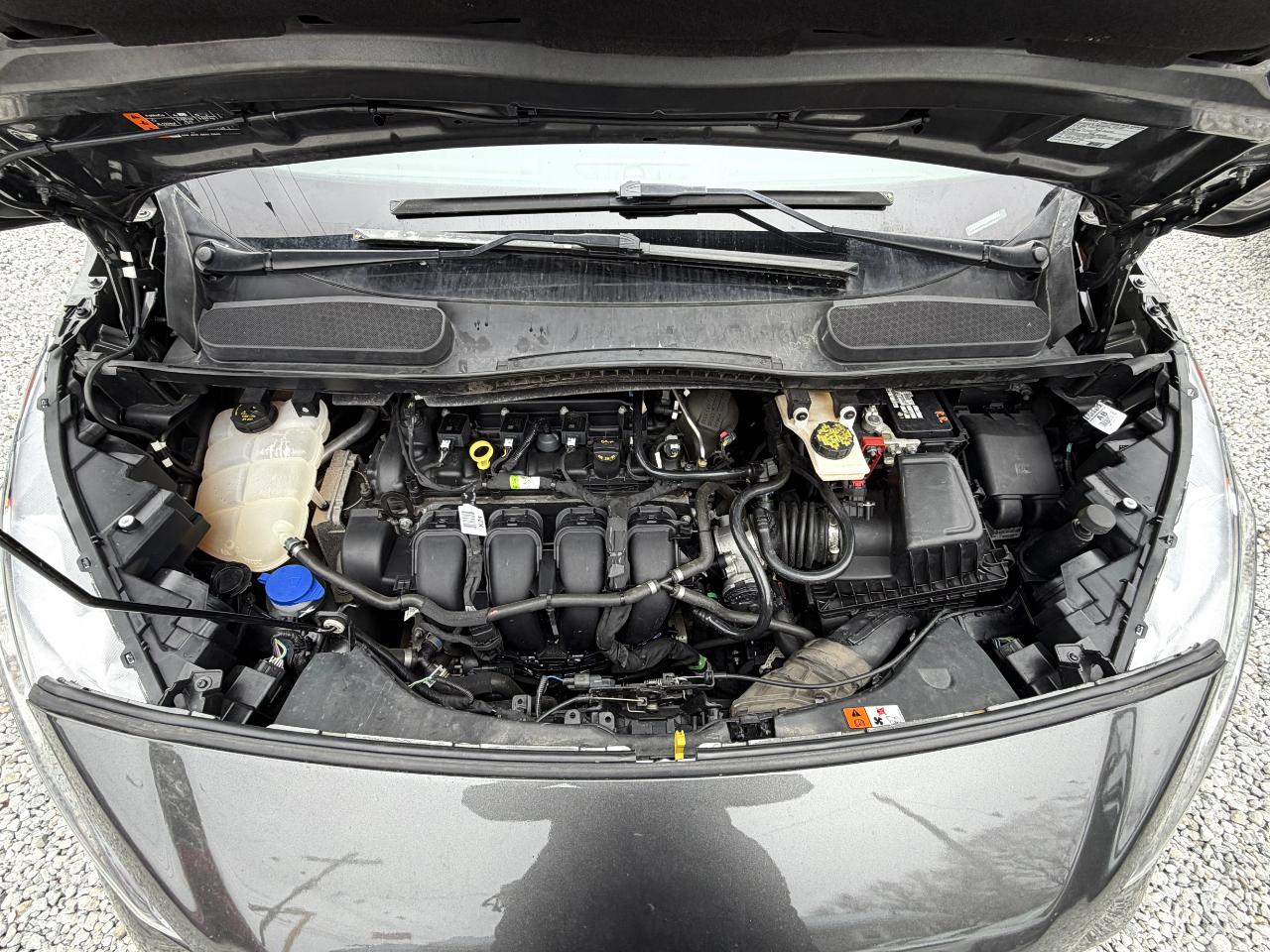 Ford Transit Connect Wagon XLT LWB w/Rear 180 Degree Door 2020