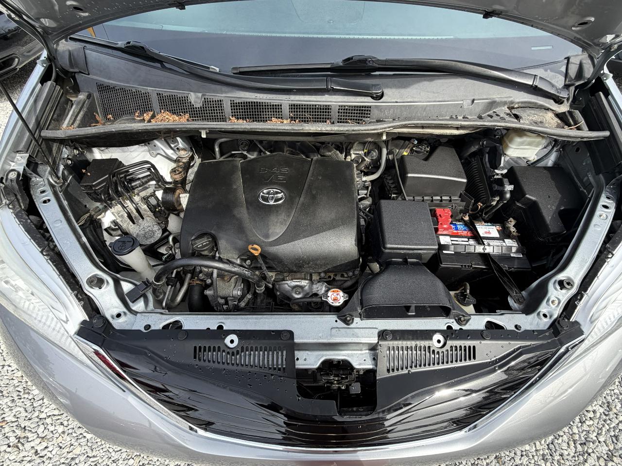 Toyota Sienna LE 7-Passenger AWD 2017