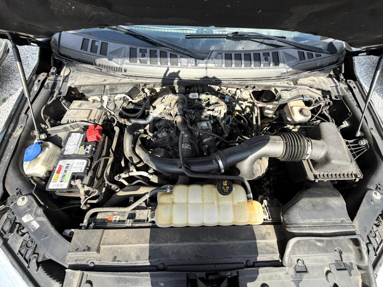 Ford F-150 XLT SuperCrew 5.5-ft. Bed 4WD 2020