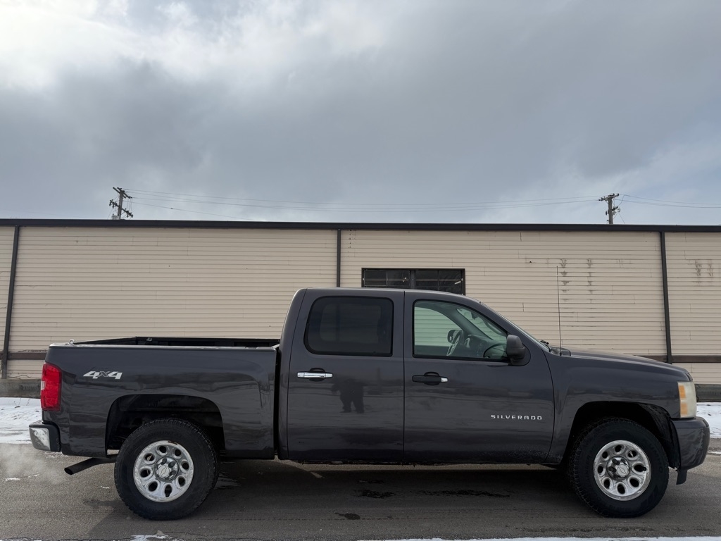 Chevrolet Silverado 1500 LS Crew Cab 4WD 2010