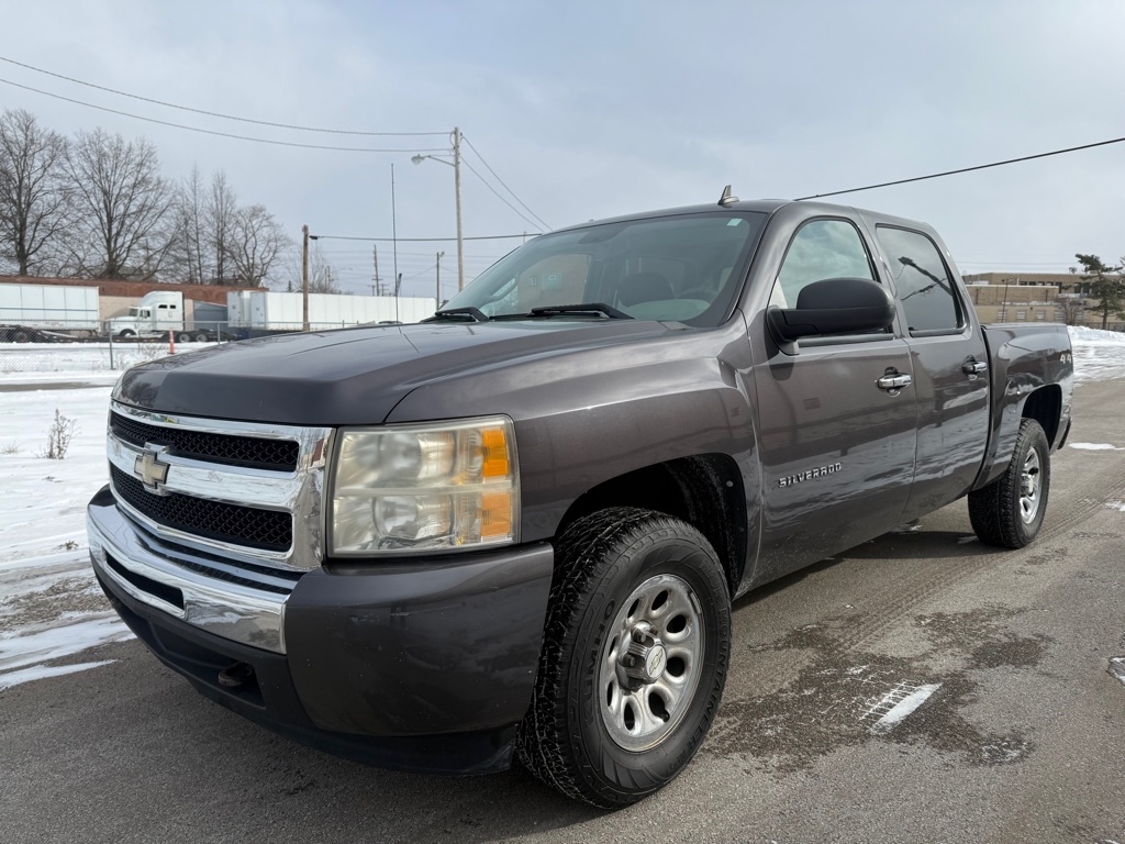 Chevrolet Silverado 1500 LS Crew Cab 4WD 2010
