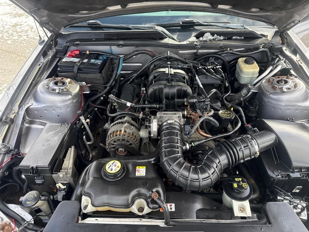 Ford Mustang V6 Deluxe Coupe 2007