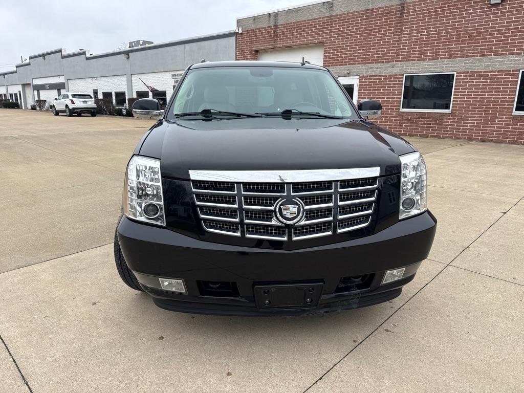 Cadillac Escalade ESV AWD Premium 2011