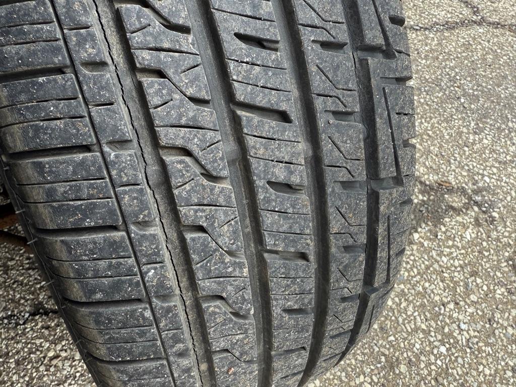 Dodge Charger Rallye 2010