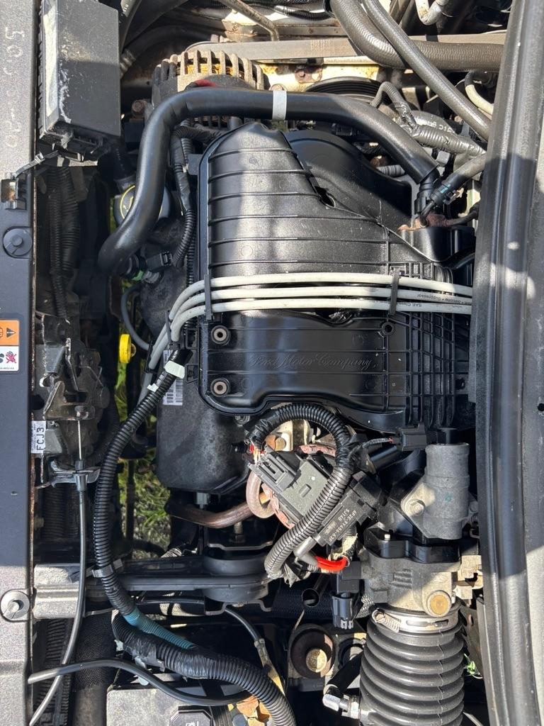 Ford Freestar SE 2006
