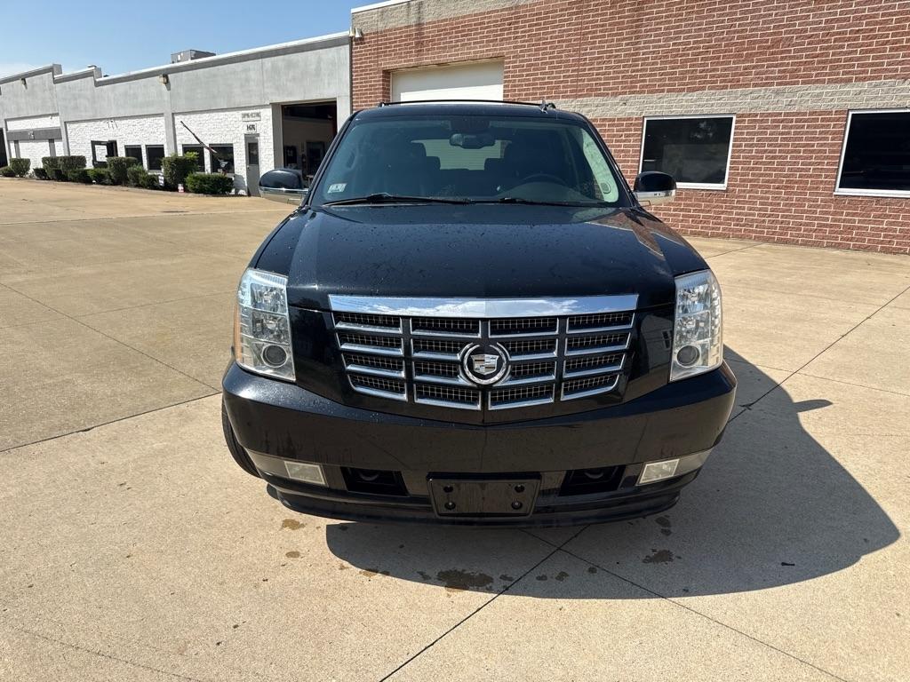 Cadillac Escalade AWD Premium 2011