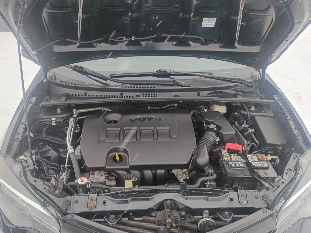 Toyota Corolla  2019