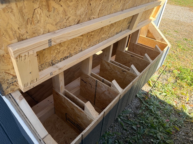 Backyard Outfitters Chicken Coop  2025