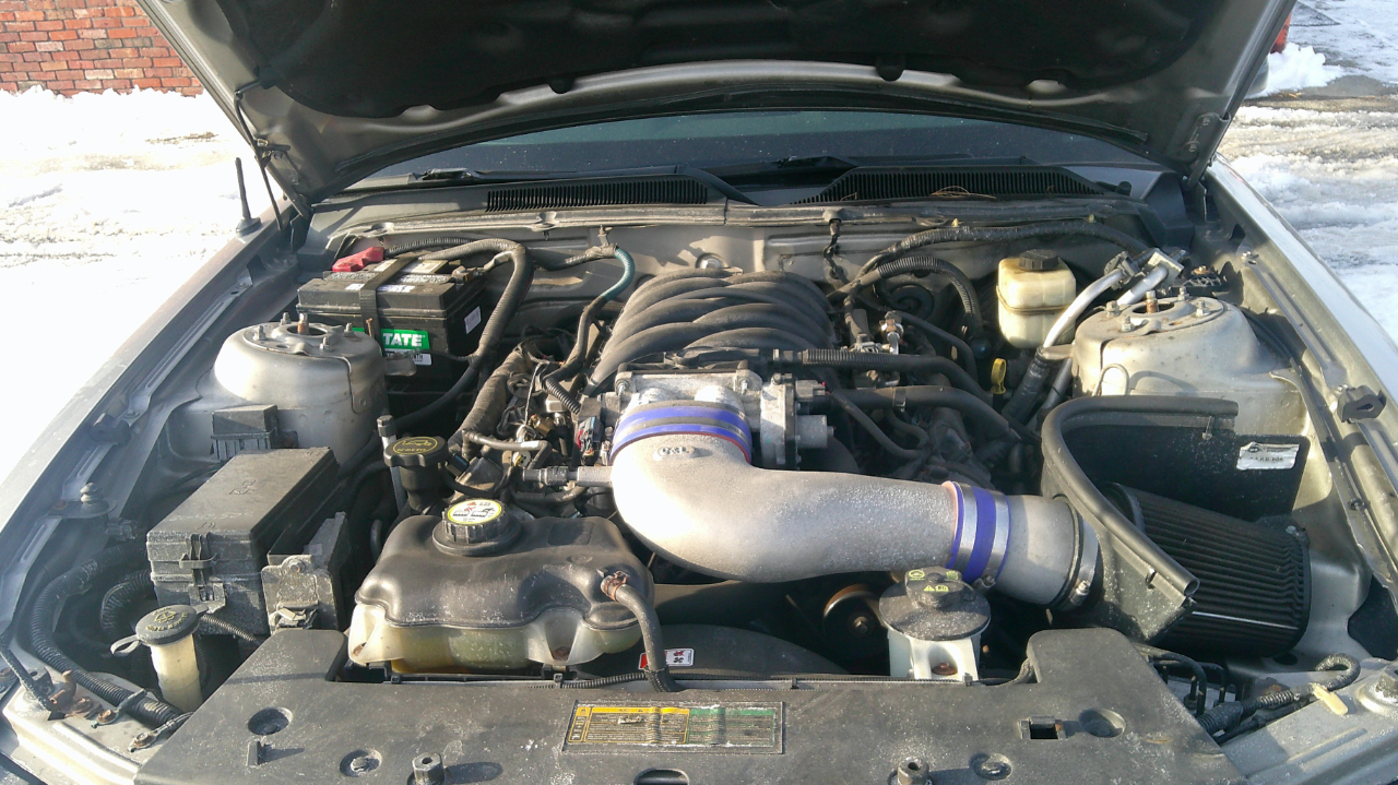 Ford Mustang GT Deluxe Coupe 2008