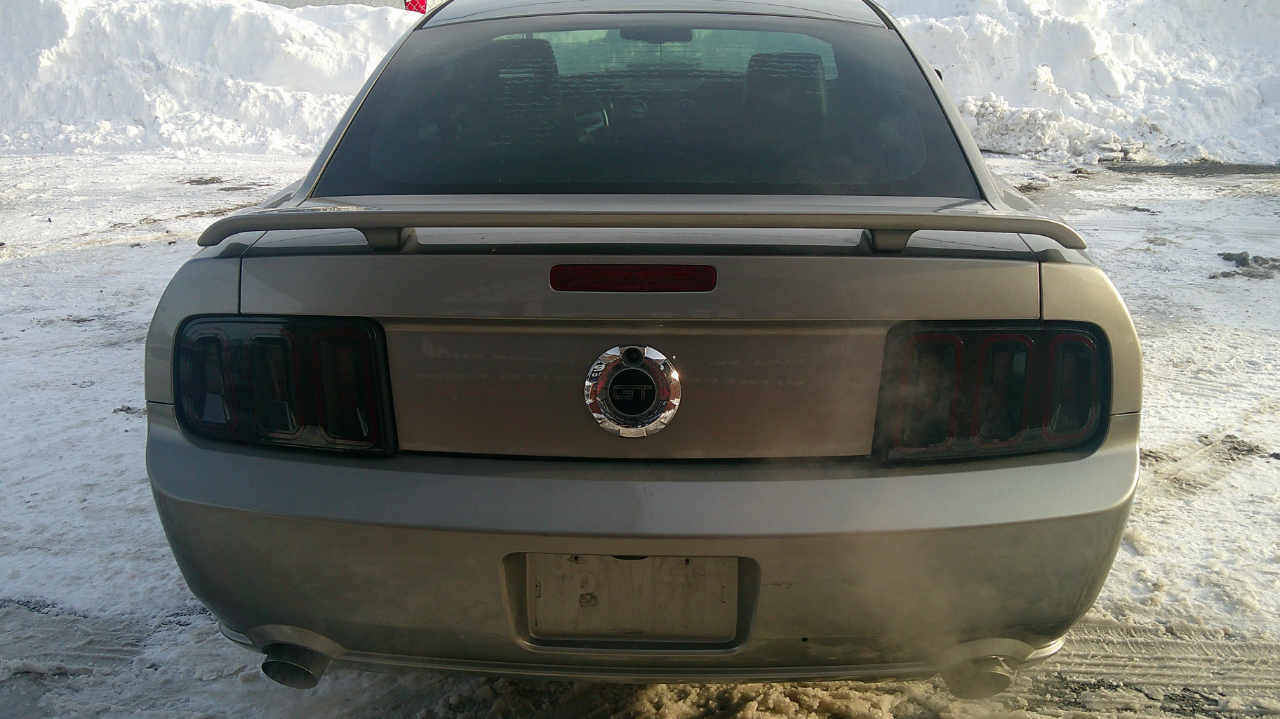 Ford Mustang GT Deluxe Coupe 2008