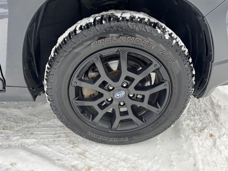 Subaru Crosstrek Wilderness 2024