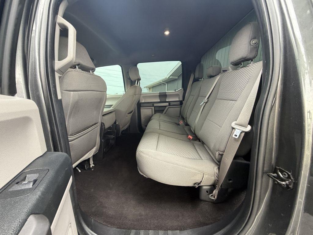 Ford F-150 XL SuperCrew 5.5-ft. Bed 4WD 2019