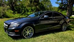 2014 Mercedes-Benz CLS-Class 