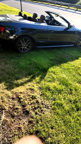 Audi A5 2.0T Premium Plus Cabriolet quattro 2015 Audi A5 2.0T Premium Plus Cabriolet quattro 2015