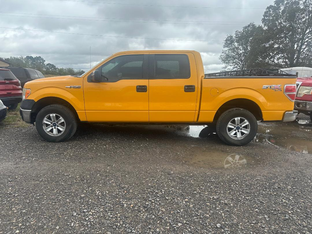 Ford F-150 Platinum SuperCrew 6.5-ft. Bed 4WD 2014