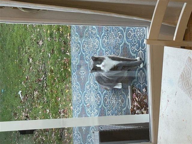 Kia Telluride S AWD 2020