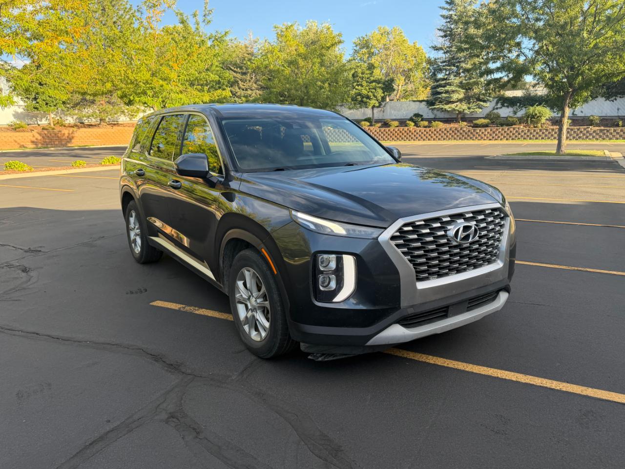 Hyundai Palisade  2020