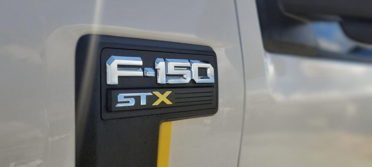 2024 Ford F-150 STX - Photo 14