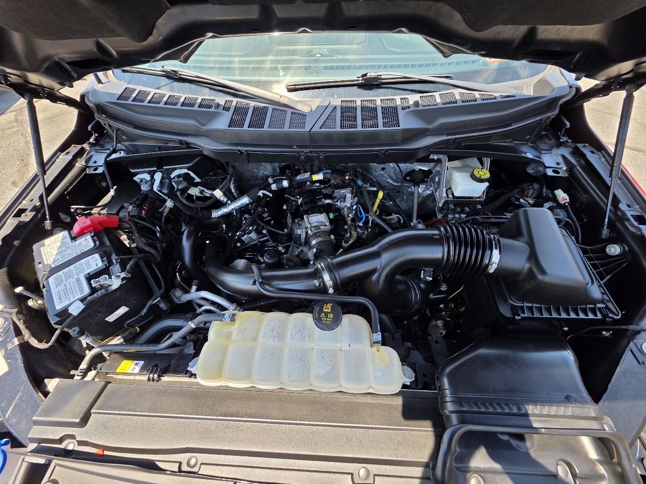 Ford F-150  2022