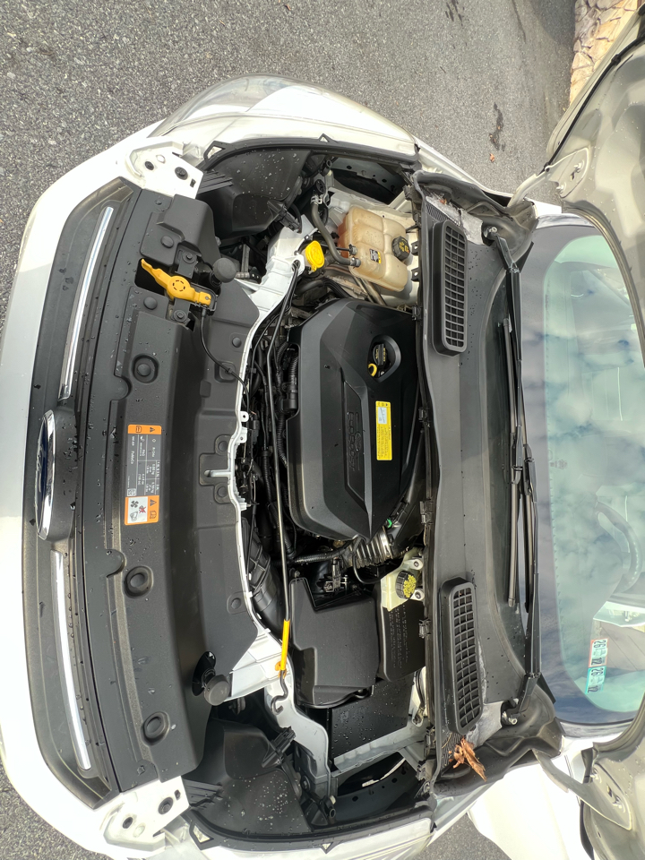 Ford Escape SE 4WD 2013