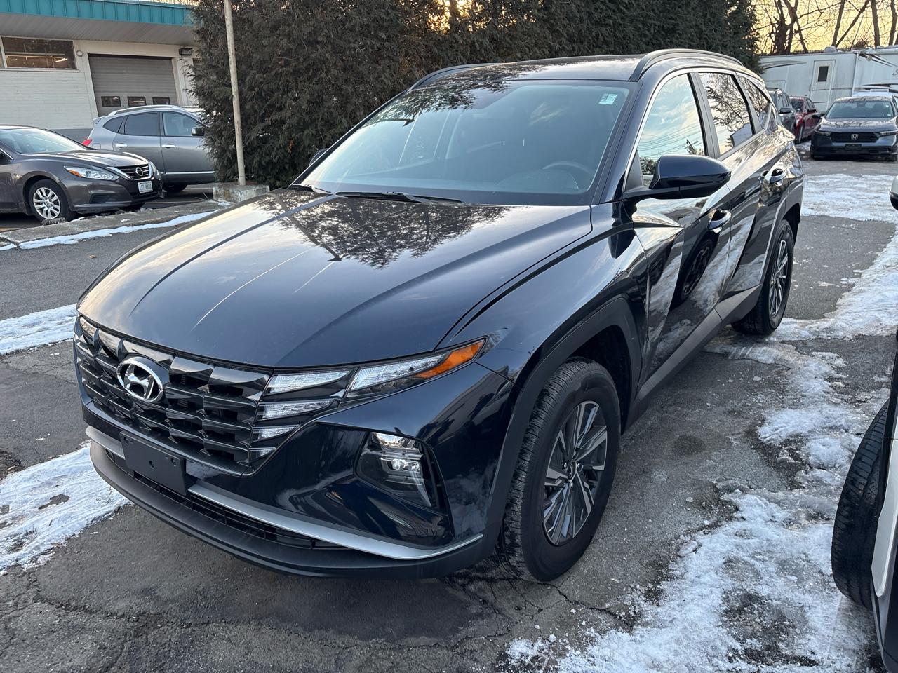 2024 Hyundai Tucson Blue Hybrid AWD