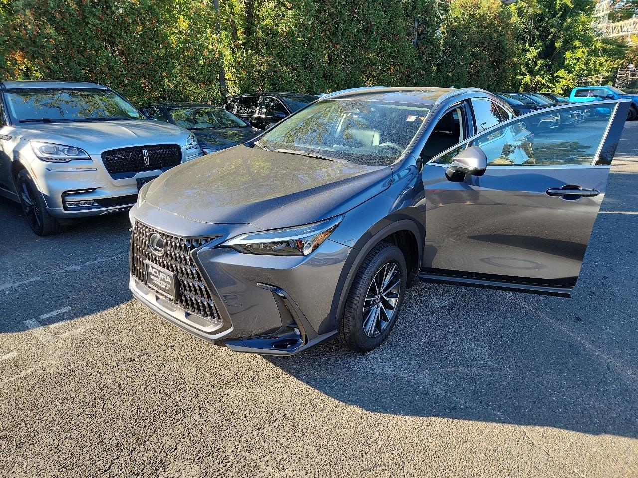 2024 Lexus NX 250 AWD