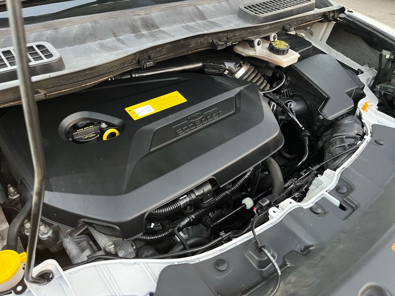 Ford Escape SE FWD 2016