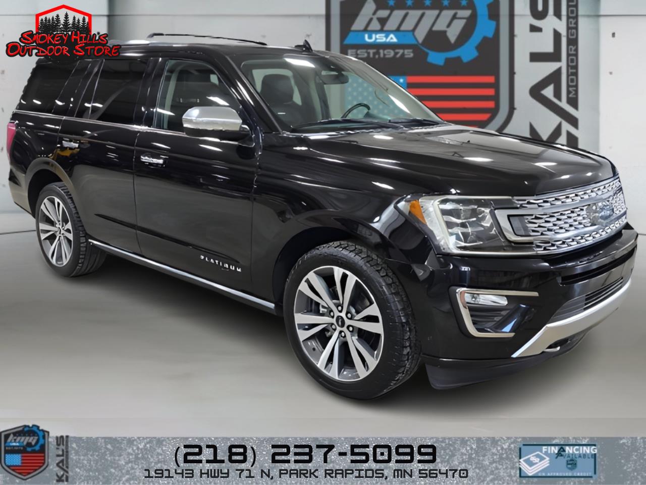 2020 Ford Expedition Platinum's photo