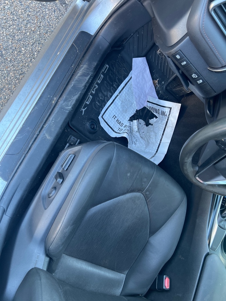 Toyota Camry XLE Auto (Natl) 2019