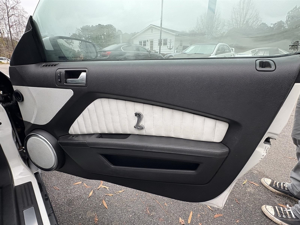 Ford Shelby GT500  2010