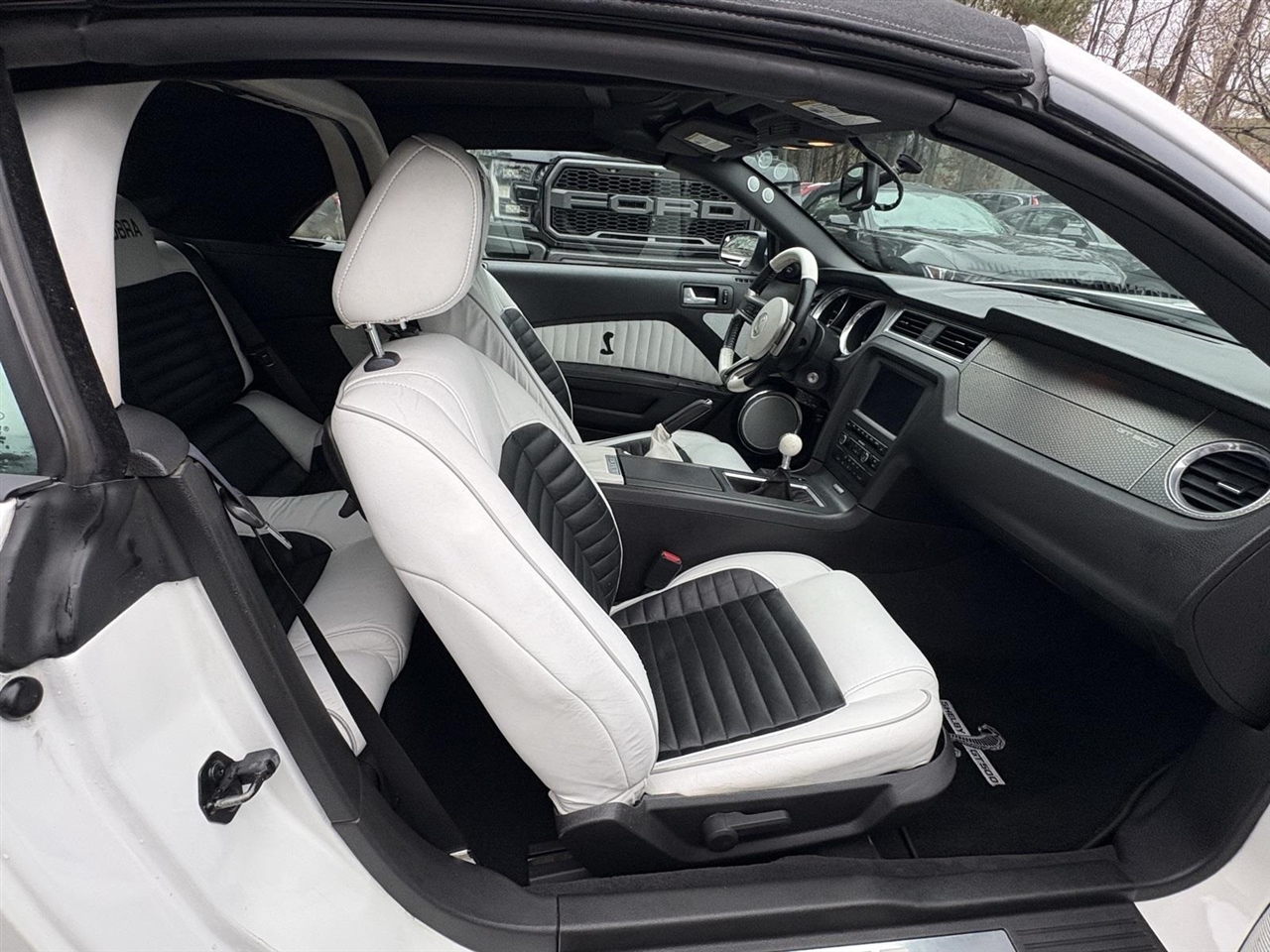 Ford Shelby GT500  2010