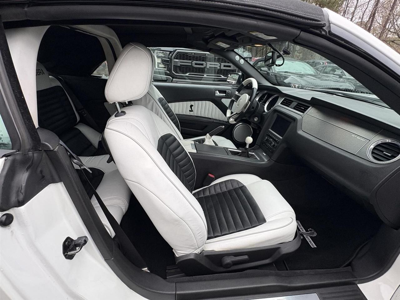 Ford Shelby GT500  2010