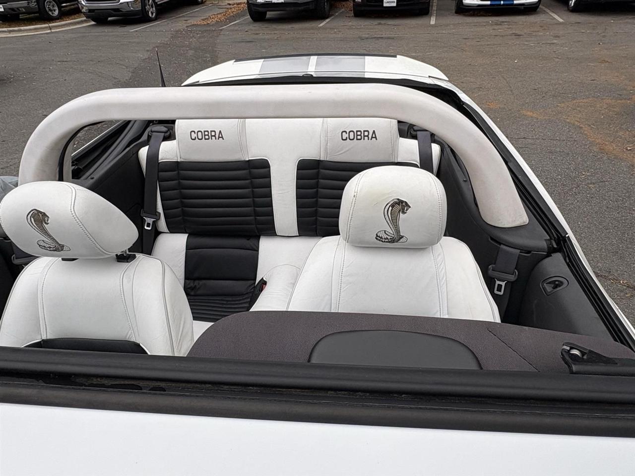 Ford Shelby GT500  2010