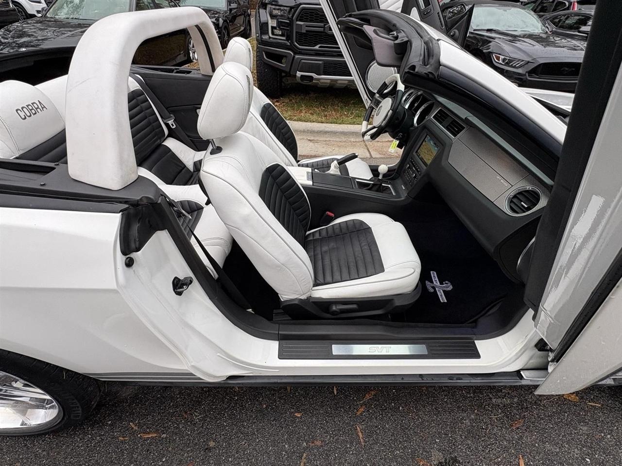 Ford Shelby GT500  2010