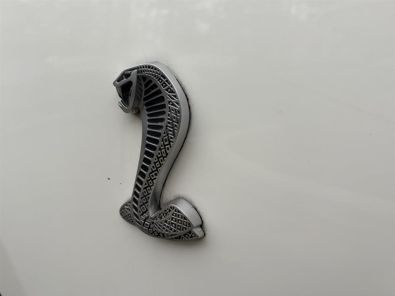Ford Shelby GT500  2010