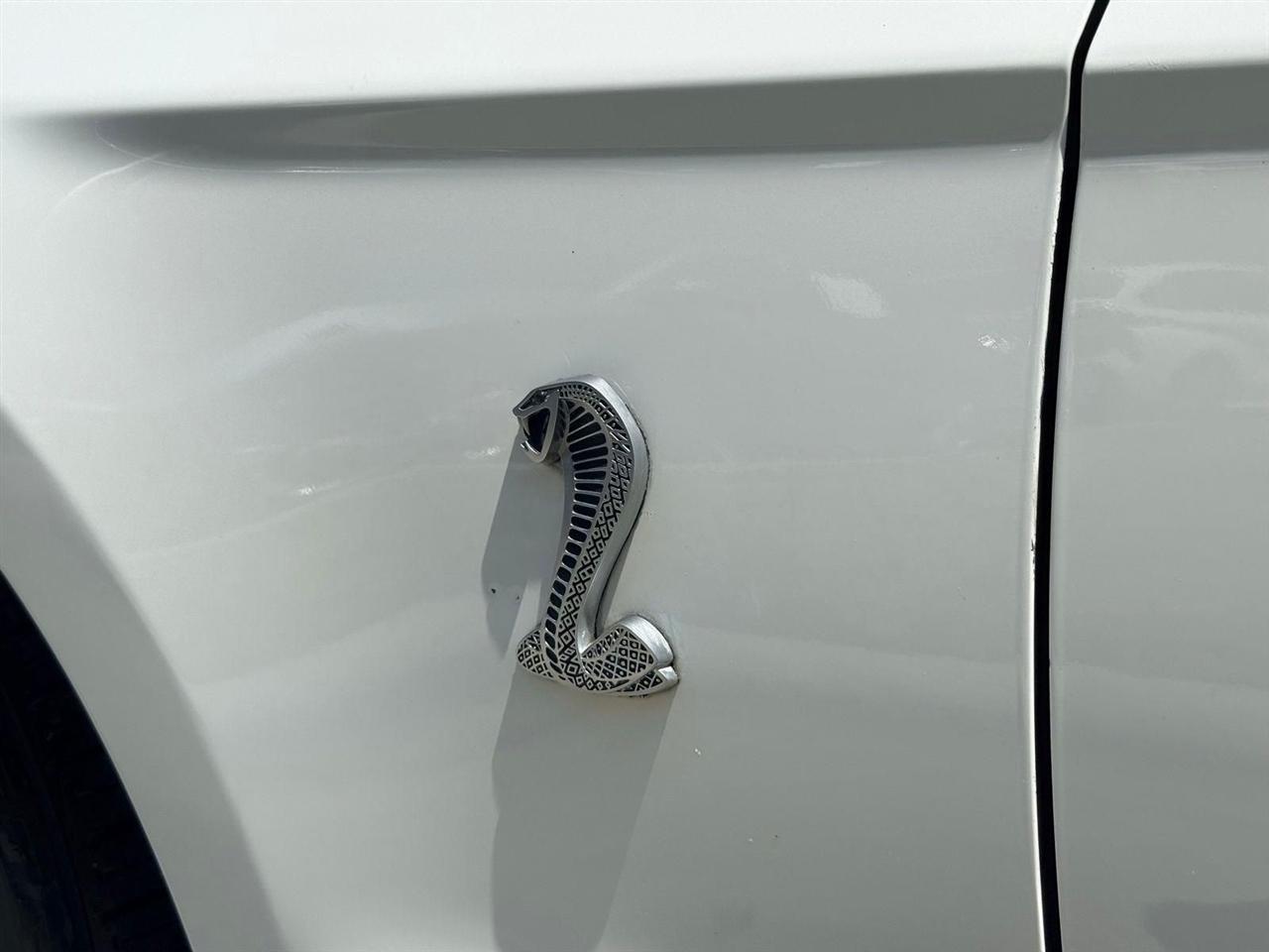 Ford Shelby GT500  2010