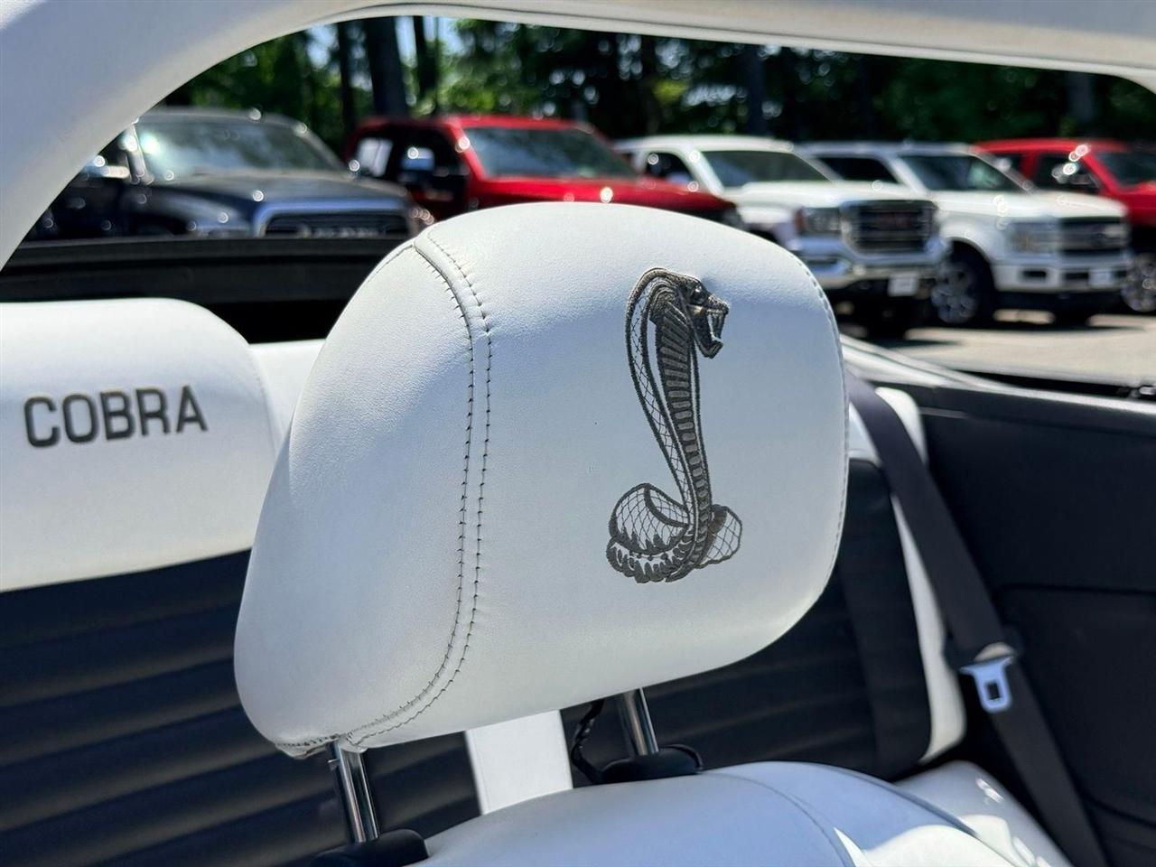 Ford Shelby GT500  2010