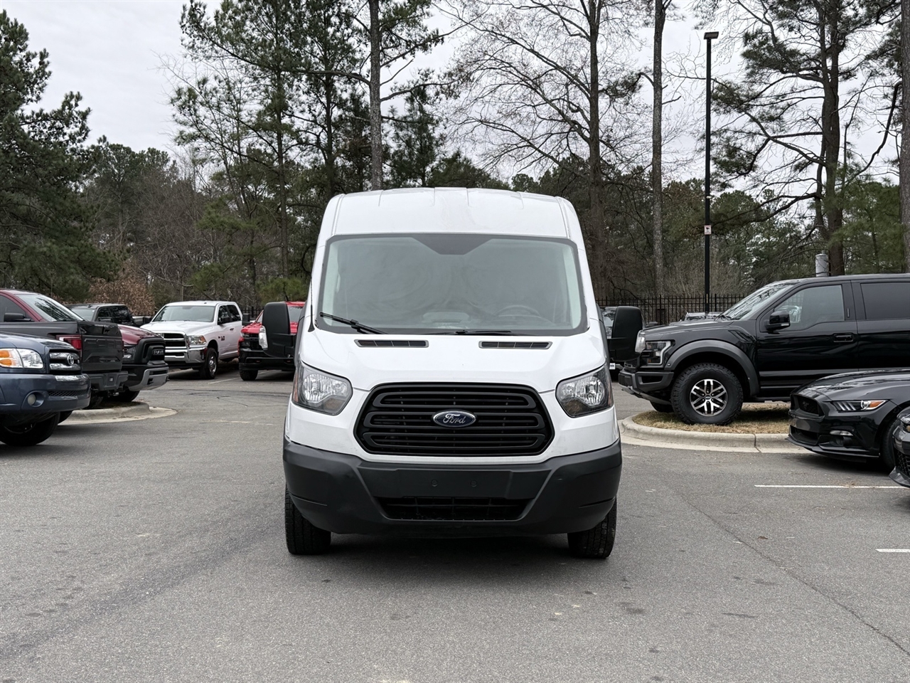 Ford Transit  2019