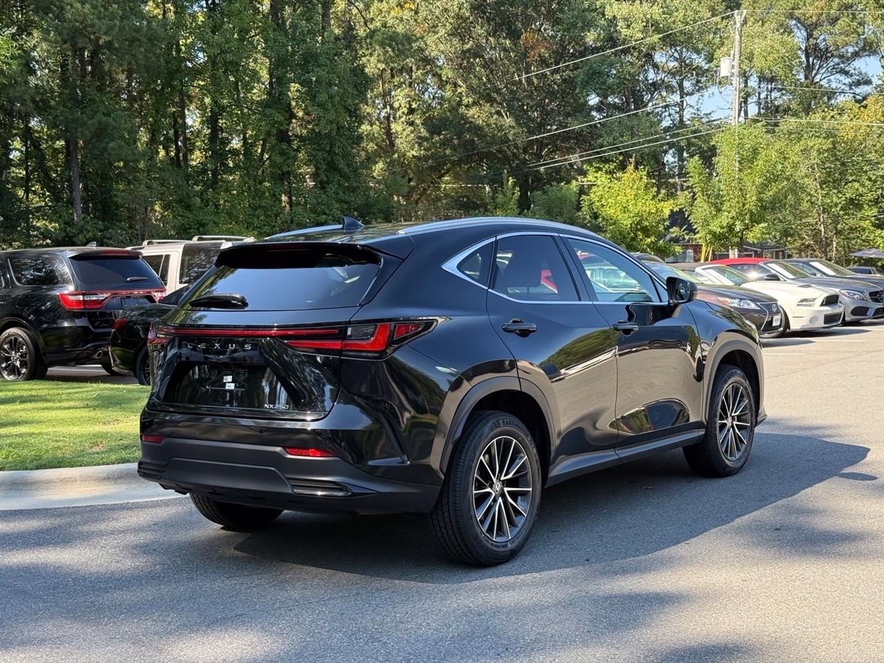 Lexus NX  2024