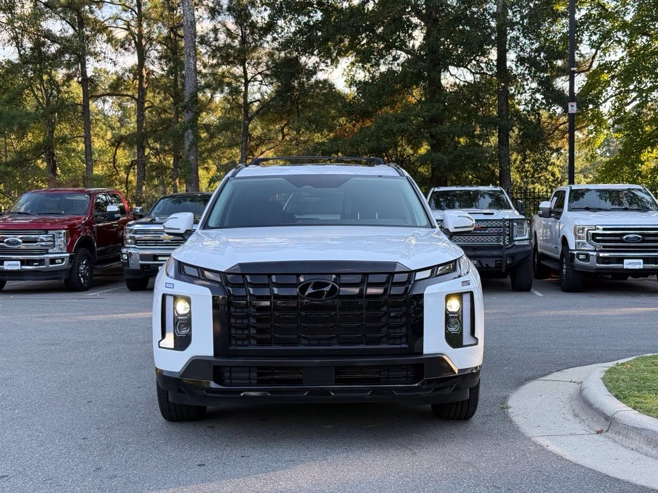 Hyundai Palisade  2024