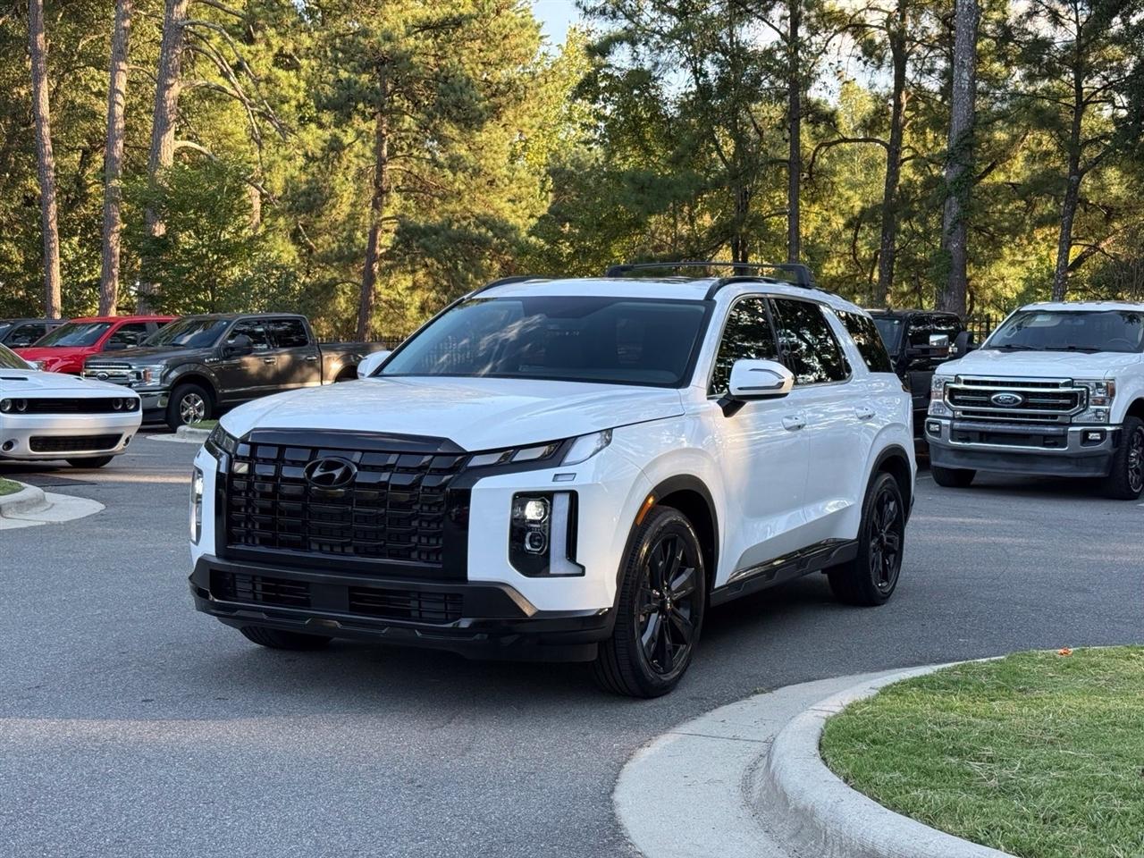Hyundai Palisade  2024